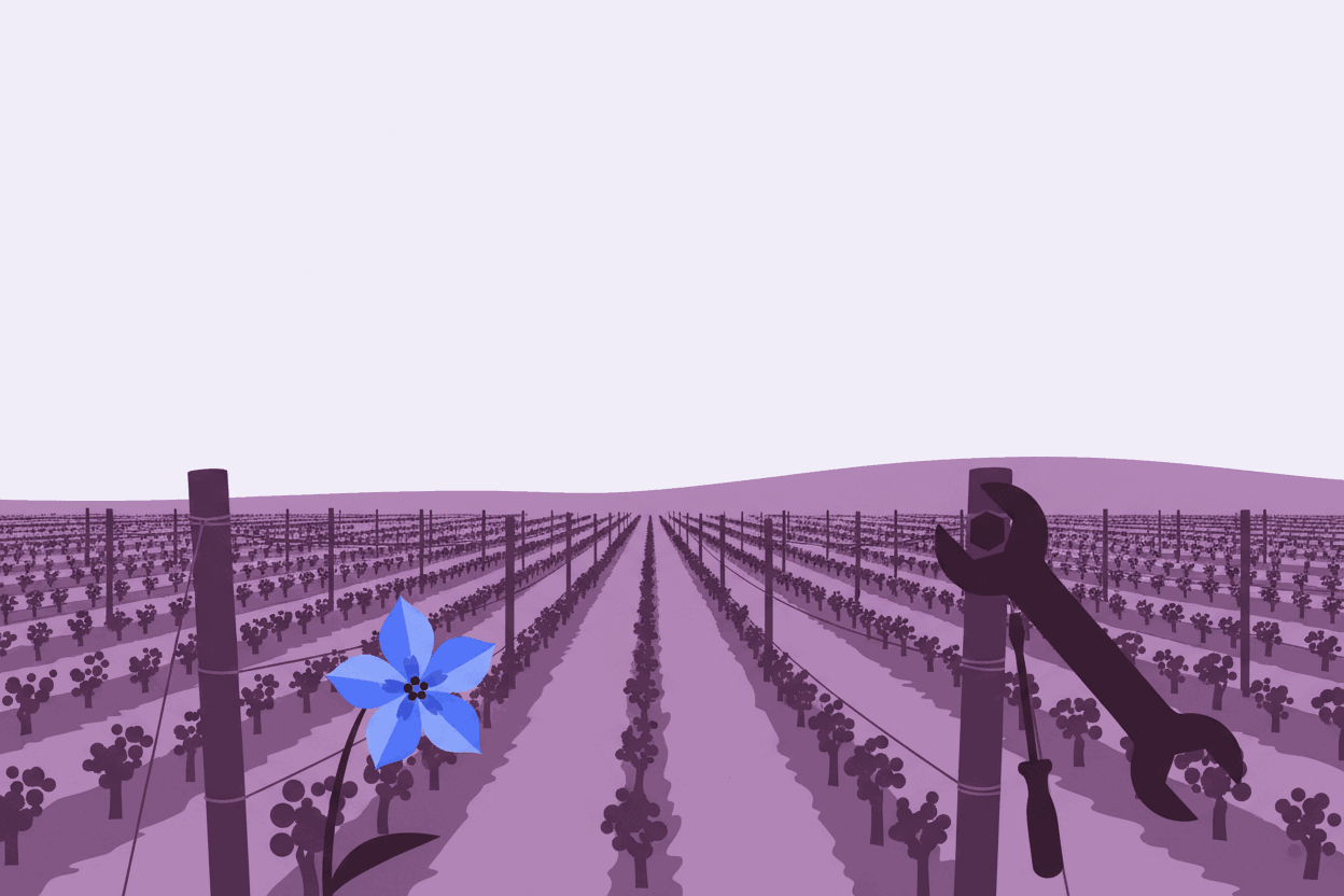 A flat illustration of a vineyard in plum and mauve, rows of trellis receding to the horizon, with a spanner tightening a bolt on a post in the foreground and a blue Royal Bluebell flower at the left.